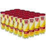 Pelotas Wilson Championship Extra Duty  Caja x 24