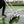 Secador de Cancha Tenis Tourna Dri Rain