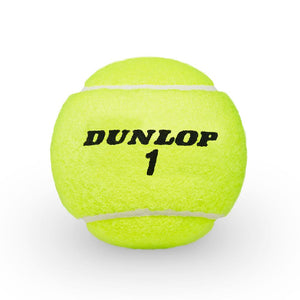 Pelota Dunlop ATP Championship