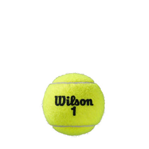 Caja de Pelotas Wilson Roland Garros