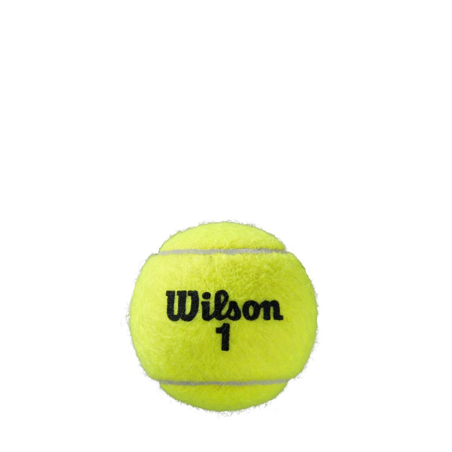 Pelota Wilson Roland Garros