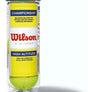 Caja de pelotas Wilson championship H.A x 72 Bolas